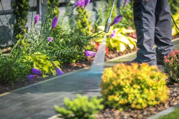 Best Pre-Holiday Cleaning  in Weston, NJ