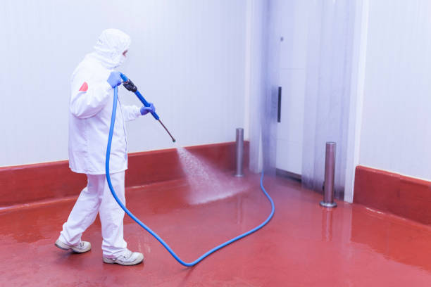 Best Soft Washing  in Weston, NJ